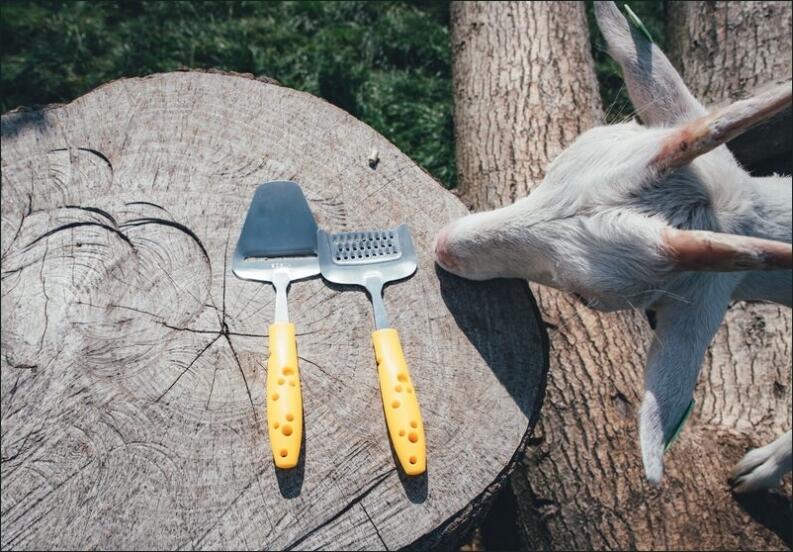 Boska Käsehobel Mini Cheesy auf Baumstamm im Freien